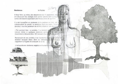 3 NY and the Pear Tree, sketch*